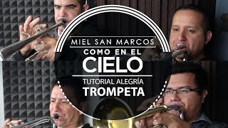 "TUTORIAL ALEGRÍA TROMPETA " Album Como en el Cielo - Miel San Marcos