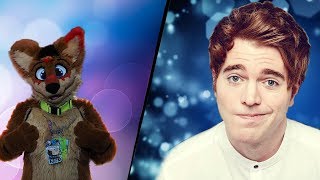 Weird Side of YouTube: Furries Reaction