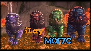 World of warcraft - Могус поиски питомца.