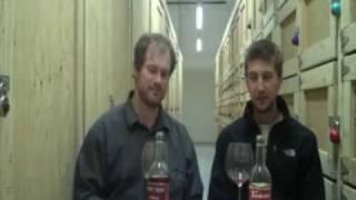 Wine Is Serious Business 9: The Bottom of the Bottom Shelf - Thunderbird and Night Train -part 2