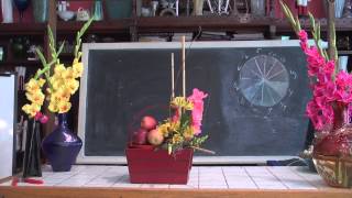 Quick & Easy Flower Arranging With Glads