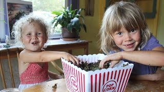 How To Stay Vegan At Family Gatherings and Social Events