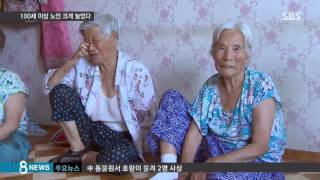 '100세 노인' 72% 늘었다…"소식이 장수의 비결" / SBS