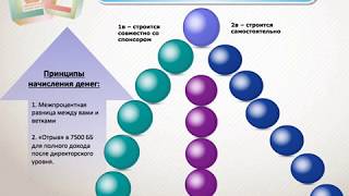 Принципы построения команды