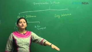 Transportation In Plants | NEET | Biology by Shivani Bhargava (SB Mam)