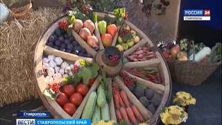 "Вести. Ставропольский край" 28.09.2017