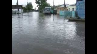 Наводнение 2014 с Шульгинка Алтайский край