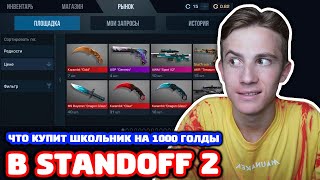 ЧТО КУПИТ ШКОЛЬНИК НА 1000 ГОЛДЫ В STANDOFF 2