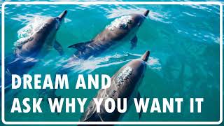 Abraham Hicks - Dream big and ask WHY you want it not how / No Ads during (Eng/Kor subtitles)