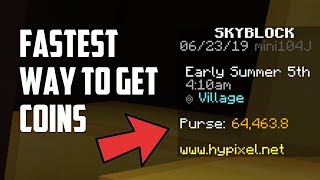 Hypixel Skyblock - FASTEST WAY TO GET COINS! (SECRET METHOD)