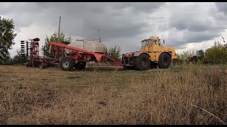 Трактор Кировец. Посев озимой пшеницы 2019 посевным комплексом Алькор-10.