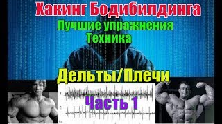 Как накачать плечи. Дельты. Лучшие упражнения. Техника. Часть 1. Хакинг Бодибилдинга