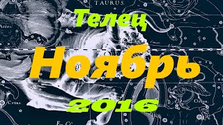 Гороскоп для Тельца на Ноябрь 2016 года