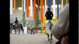Marcus Ehning, Cornado, training, paddock, Saut Hermès 2014