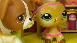 LPS сериал: Дикарка 1 серия