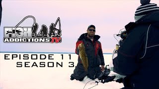 "DAYTIME BURBOT" - S.3 Ep.11 (Eelpout, Ling, Lawyer, Mud Leopard, Lota Lota)