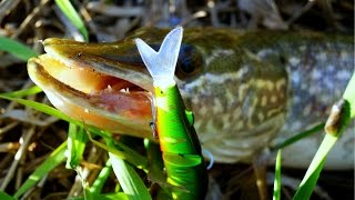 Щука атакует китайский Magallon с Алиэкспресс  | Удачная копия легендарного JACKALL MAGALLON