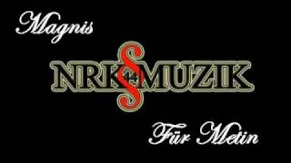 Magnis - Für Metin