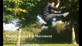 Shaolin Combination Kicks -Flick Kick & Jumping Kick (Cai Jiao & Er Ti Jiao)