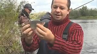 Ловля плотвы  ловля на поплавочную удочку  рыбалка на реке