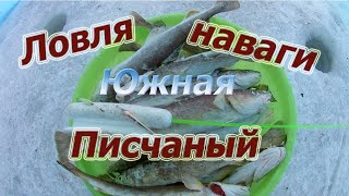 Рыбалка на песчаном,южная сторона,ловля наваги  Приморский край 2020
