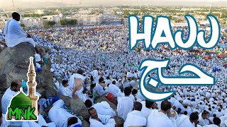 Hajj | Arafat Day views | Maidan e Arafat Makkah