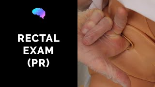 Rectal Examination (PR) - OSCE Guide