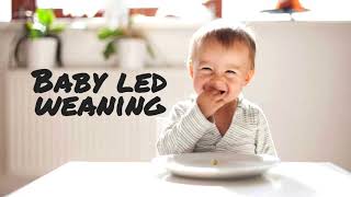 Baby Led Weaning: EN QUE CONSISTE? Alimentación Autorregulada por el bebe