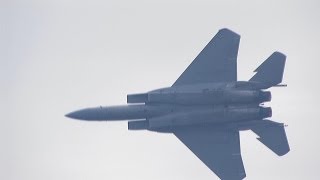F-15 МАКС 2007