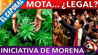 Proponen En Morena La Legalización De La Marihuana 2019