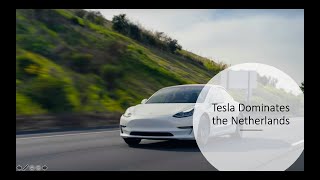 45% of EVs in the Netherlands are Tesla