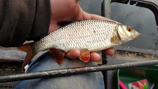 Waggler Float Fishing:  A Winter Surprise!!