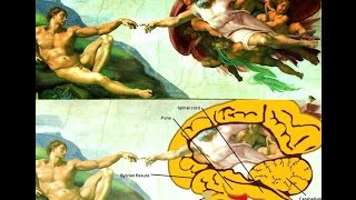Как тренировать мозг? Память? Мышление? Татьяна Владимировна Черниговская.
