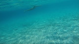???? Находки под водой.Русалка.Золото.Монеты. Подводный Поиск. Underwater Metal Detecting.