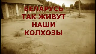КОЛХОЗ ИМ. ЛЕНИНА|KOŁCHOZ IM. LENINA