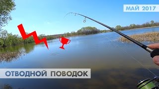 Отводной поводок в начале весны. Первая рыбалка в мае