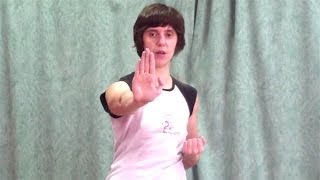Вин Чун кунг-фу: урок 15 (Форма Сиу Лим Тао)
