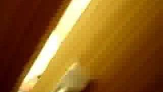 japanese in toilet