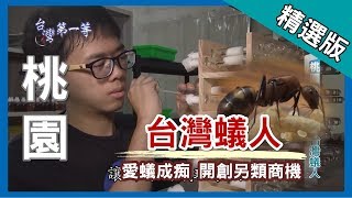 台灣第一等【螞蟻玩家 另類商機】桃園 _精選版