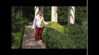 Илья Васецкий в Школе Ландшафтного Дизайна. Выпуск 1
