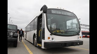 TTC SPECIAL: Electric Bus Demonstrators At Eglinton Garage