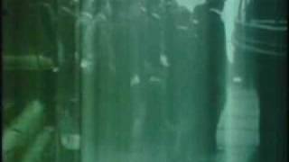 昭和2年（1927年） 大日本帝國海軍　連合艦隊　大演習観艦式
