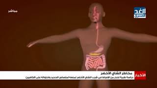 نشرة الأخبار | دراسة طبية تحذر من الإفراط في شرب الشاي الأخضر