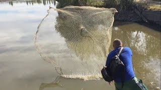 12 кг рыбы за один заброс кастинговой сети