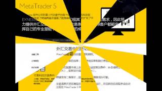 外汇经纪商 exness