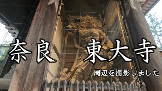 奈良　東大寺　2020　Todaiji Temple