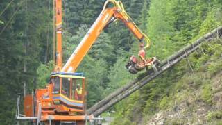 Seilkran - Tower Yarder-  Syncrofalke 3t mit Sherpa U 3t und Woody 60 (1)