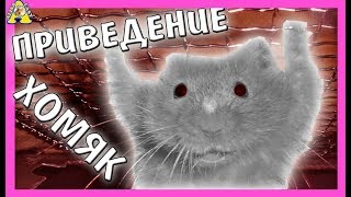 ХОМЯК - ПРИЗРАК | хомяк Mister Max моя история | Что скрывает Кот Вася | Alisa Easy