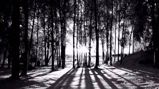 Der Weg einer Freiheit - Vergängnis (2012)