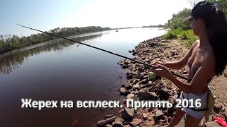 Жерех на всплеск. р. Припять 2016 Asp fishing with my wife GoPro